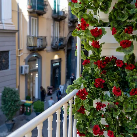 Panorama Host - Fuaje Concept Chiaia